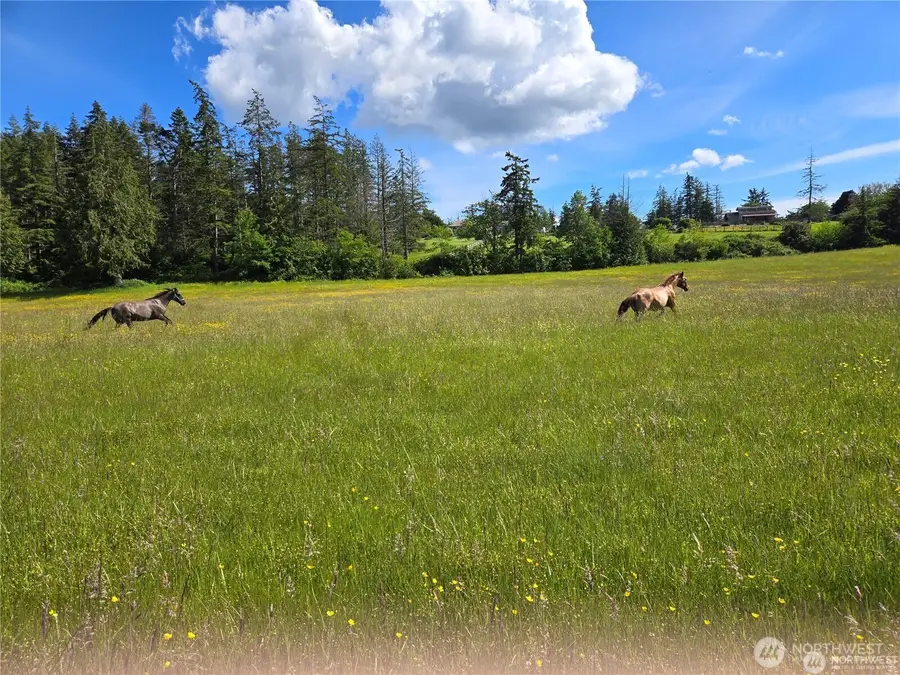 1050 Promise Lane, Camano Island, WA 98282 - #2