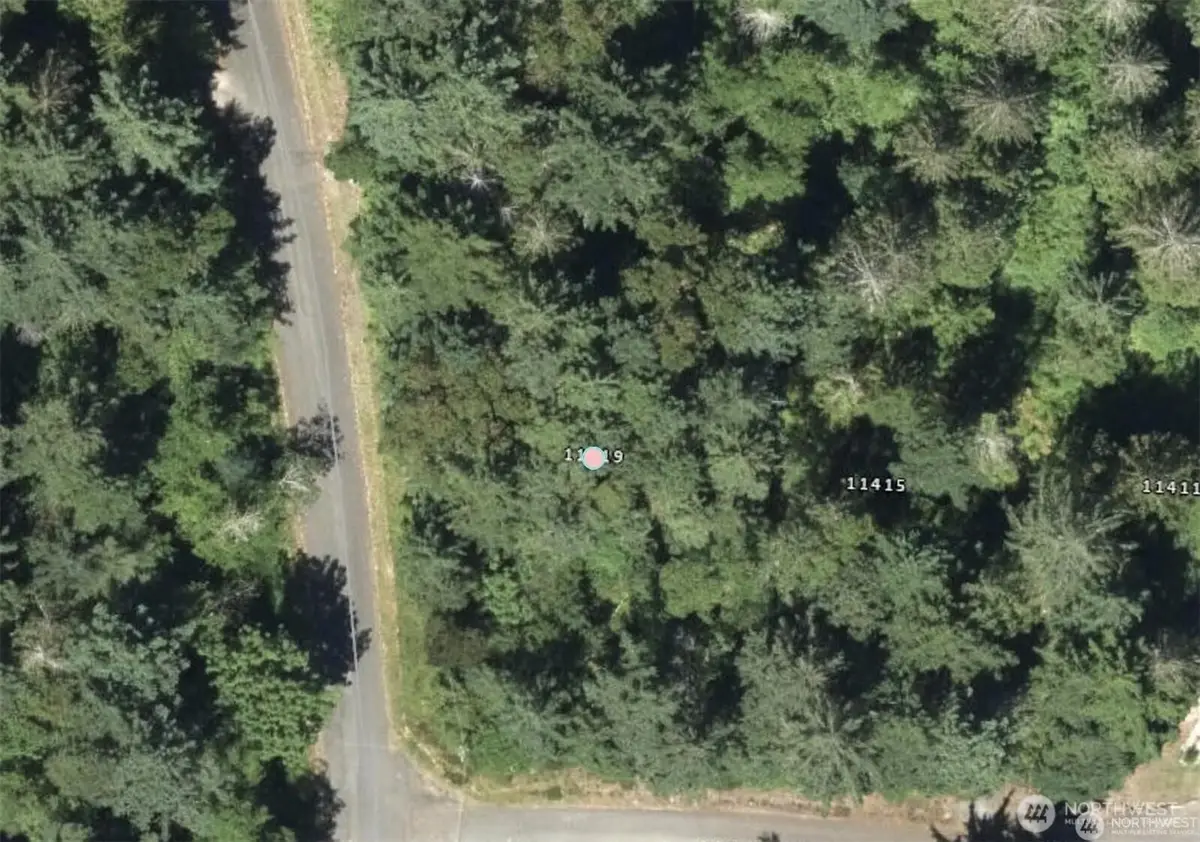 11503 87th Street Ct, Anderson Island, WA 98303 - #1
