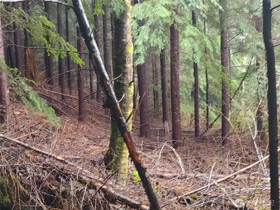 0 Ozette Lake Road, Clallam Bay, WA 98326 - #2