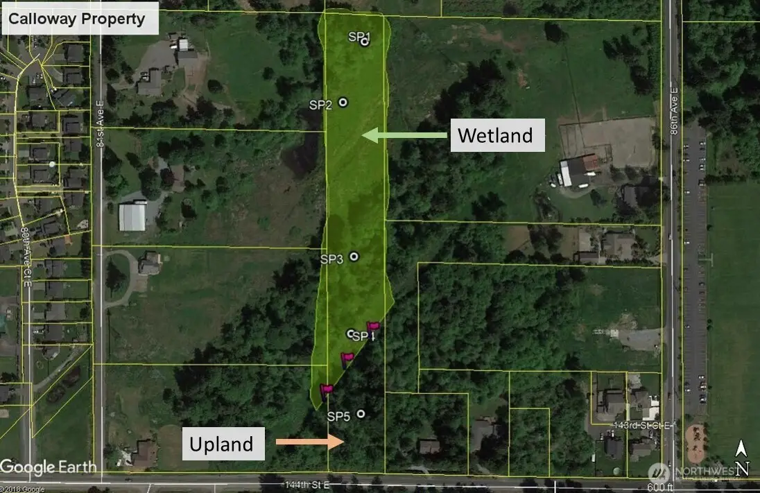 8307 144th Street E, Puyallup, WA 98375 - #1