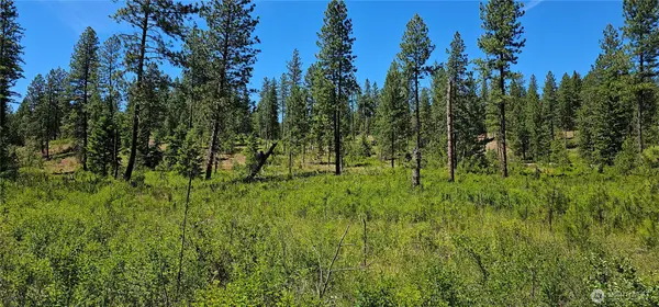 20 Lynx Road, Inchelium, WA 99138