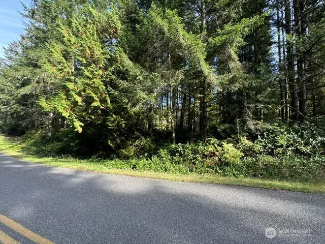 11503 Lake Josephine Avenue #63, Anderson Island, WA 98303 - #3
