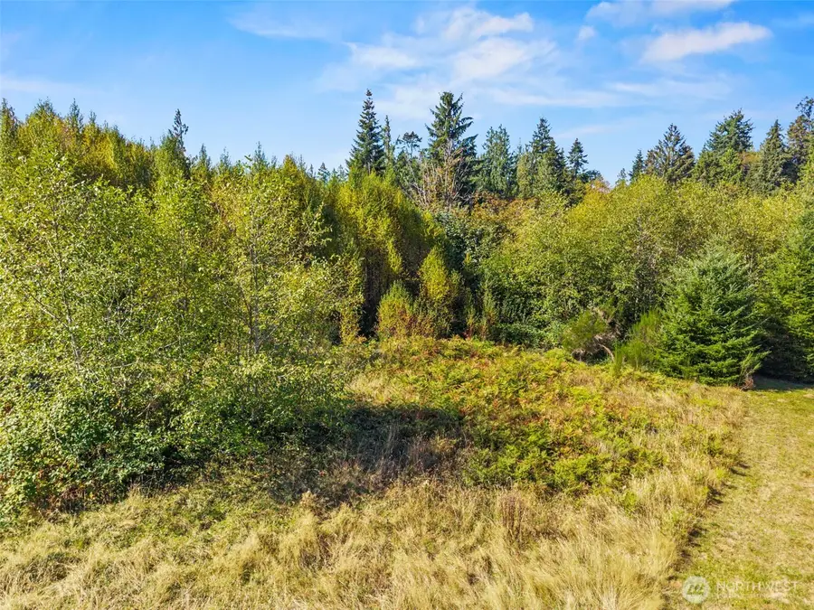 8 Cougar Falls Lane #A, Cathlamet, WA 98612 - #2
