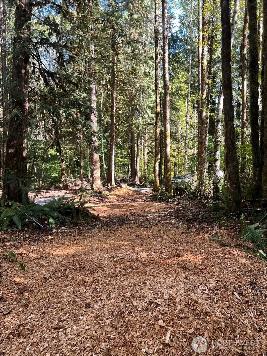 0 Clear Creek Road #32093600100100, Darrington, WA 98241 - #3