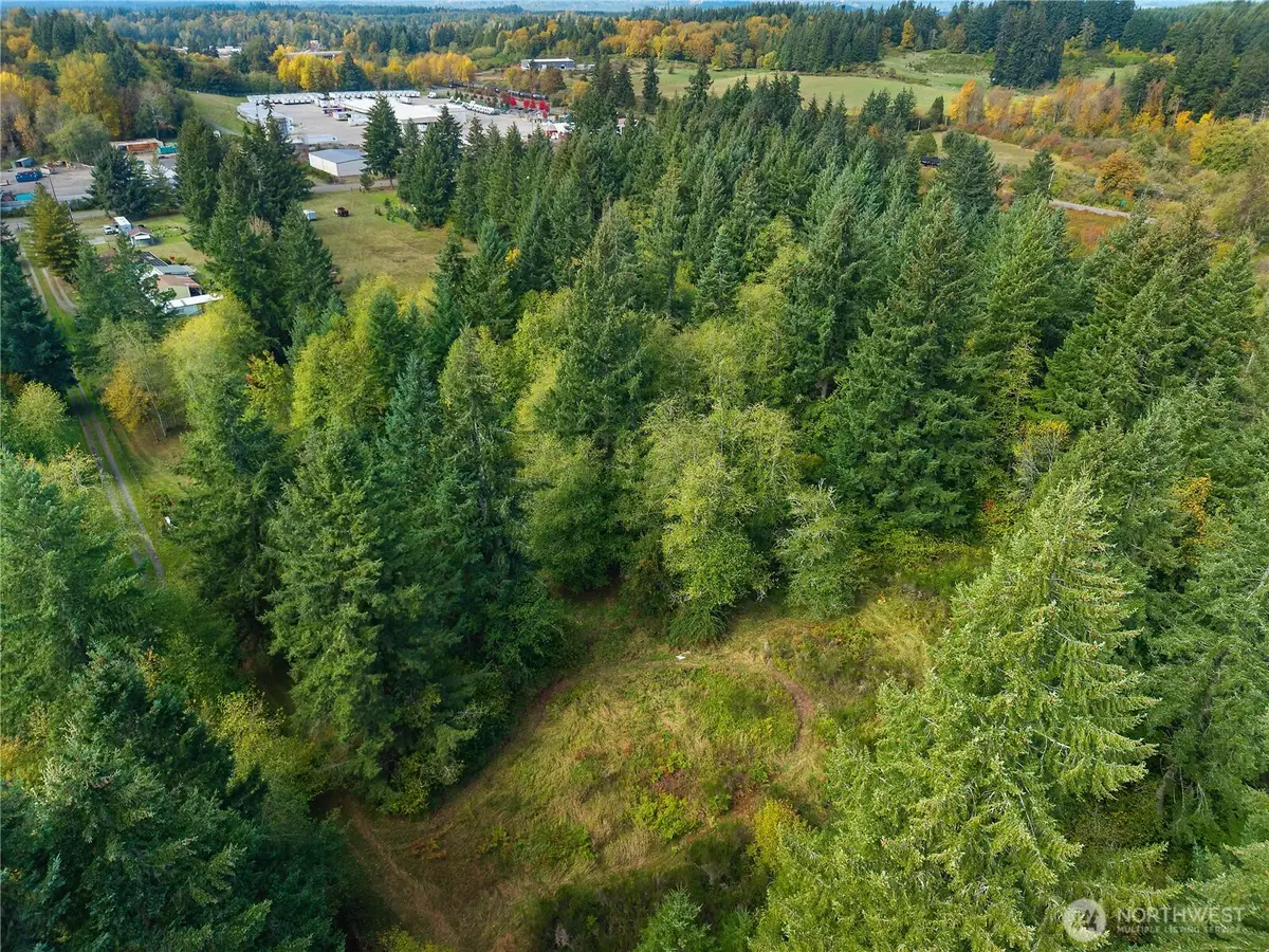 13332 Reeder Road Sw, Thurston South, WA 98589 - #1