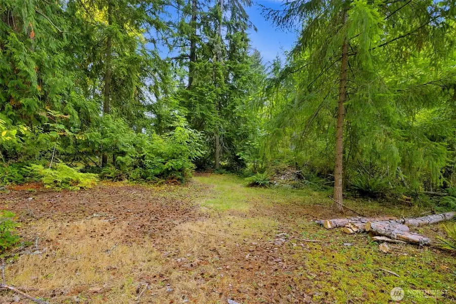 7433 207th Avenue E, Bonney Lake, WA 98391 - #3