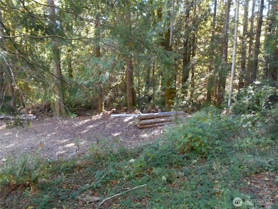 0 Hwy 101, Brinnon, WA 98320 - #3