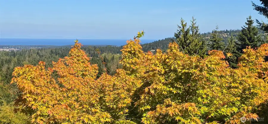 242 Forest Haven Drive, Sequim, WA 98382 - #3
