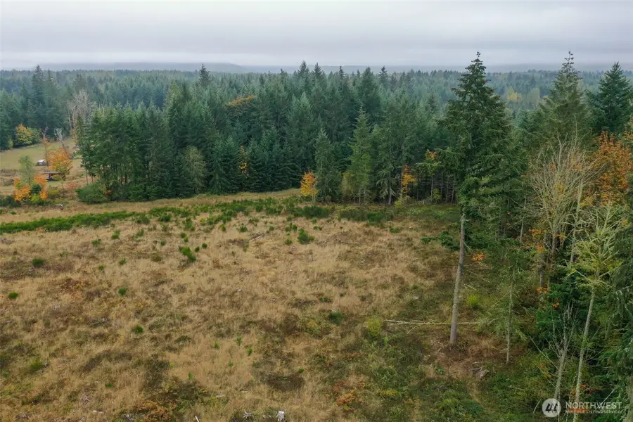 15138 Champion Estate Drive Se, Yelm, WA 98597 - #2