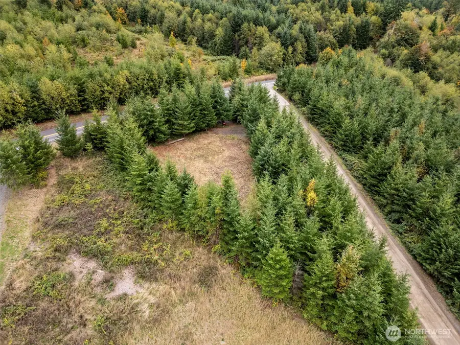 0 Bootjack Lane, Kelso, WA 98626 - #3