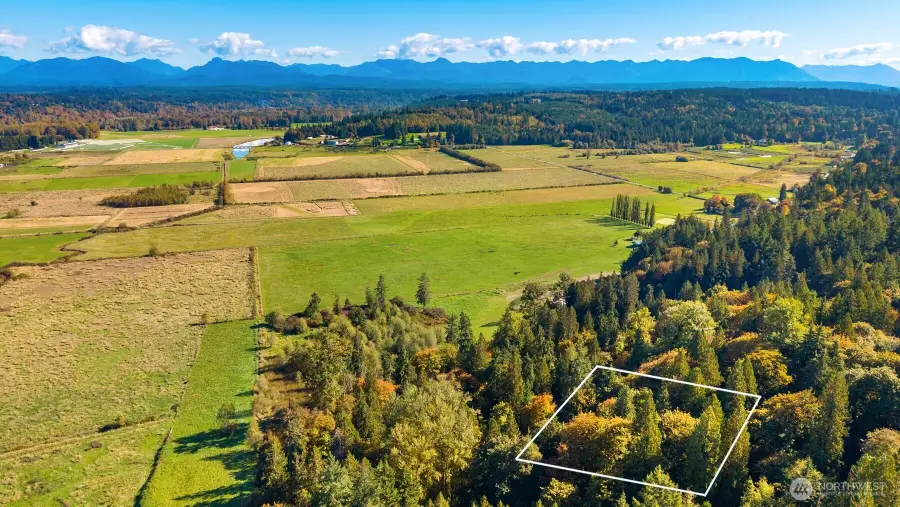 8801 W Snoqualmie Valley Road Ne, Carnation, WA 98014 - #2