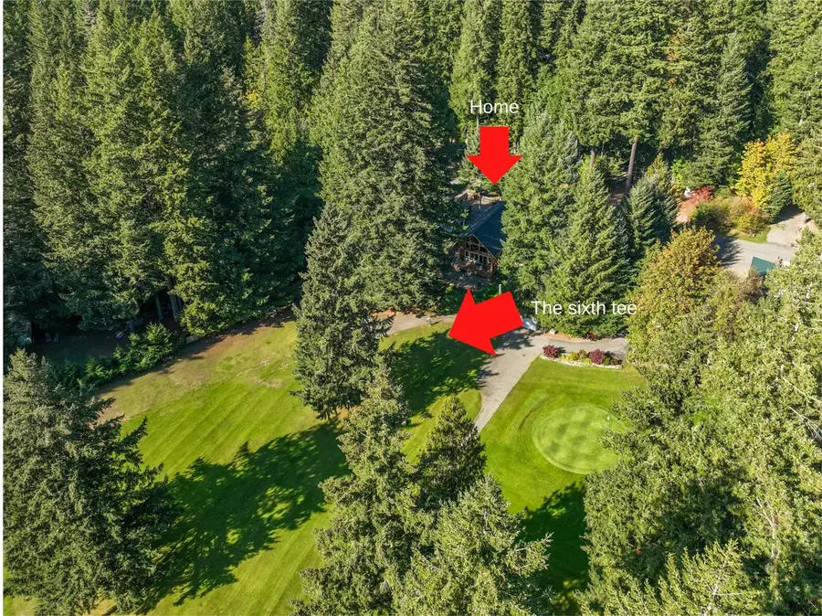 142 Silver Tip Lane, Packwood, WA 98361 - #3