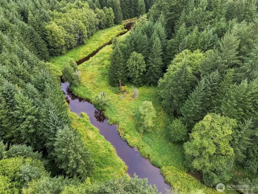 0 Elk Creek Road, Chehalis, WA 98532 - #3