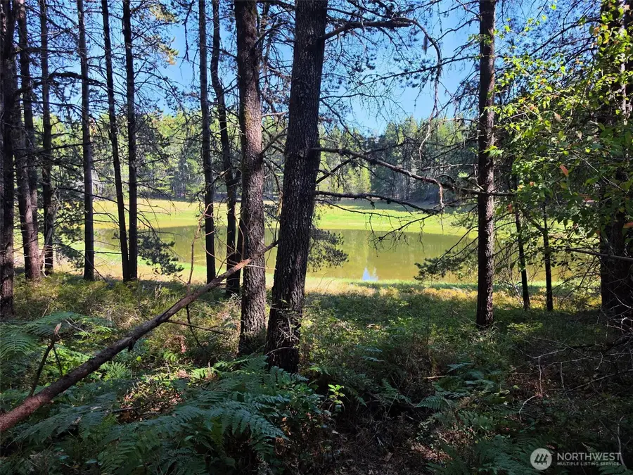 210 Trudder Lane, Union, WA 98592 - #2