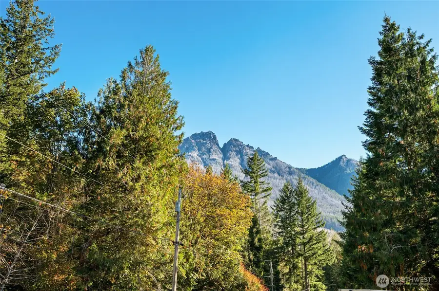 17921 644th Avenue Ne, Baring, WA 98251 - #2