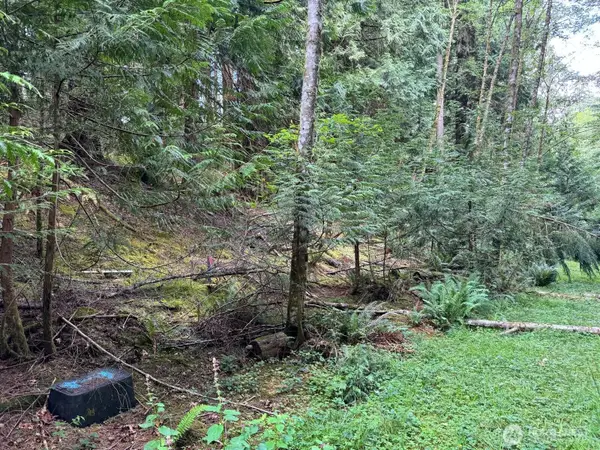 17 Black Bear Court #128, Bellingham, WA 98229