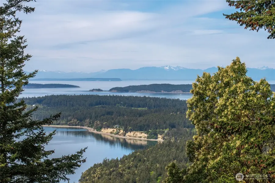 121 Switchback Road, Orcas, WA 98245 - #2