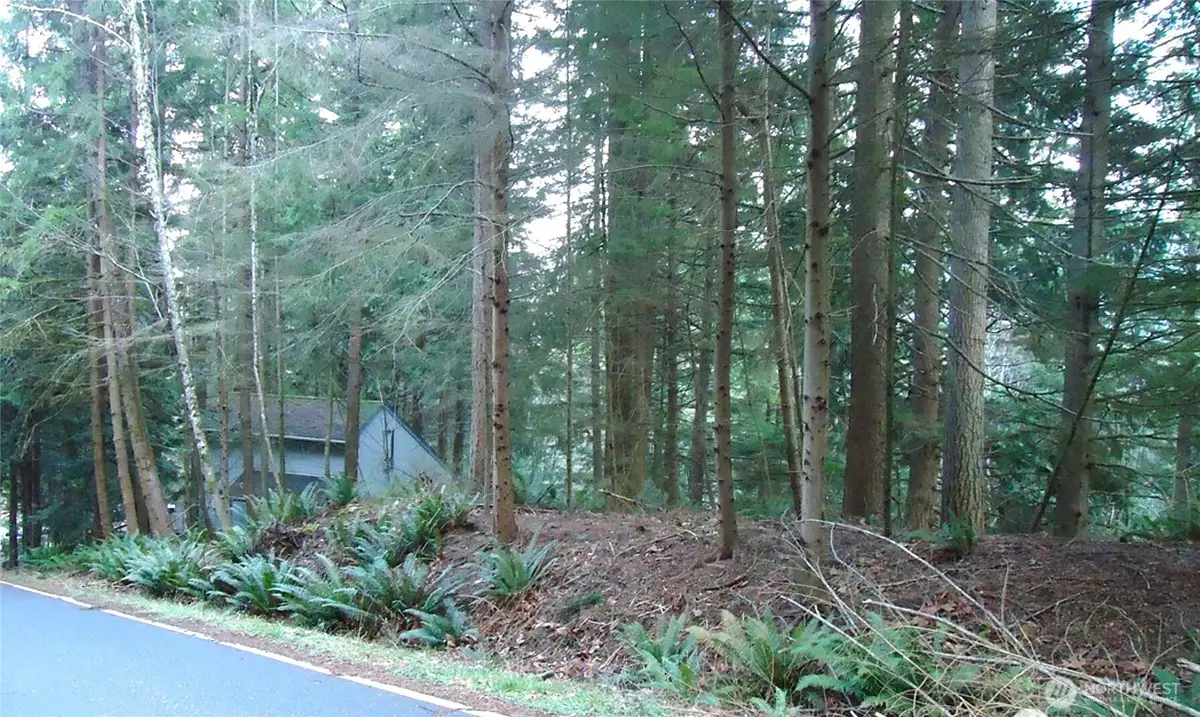 64 Louise View Drive, Bellingham, WA 98229 - #1