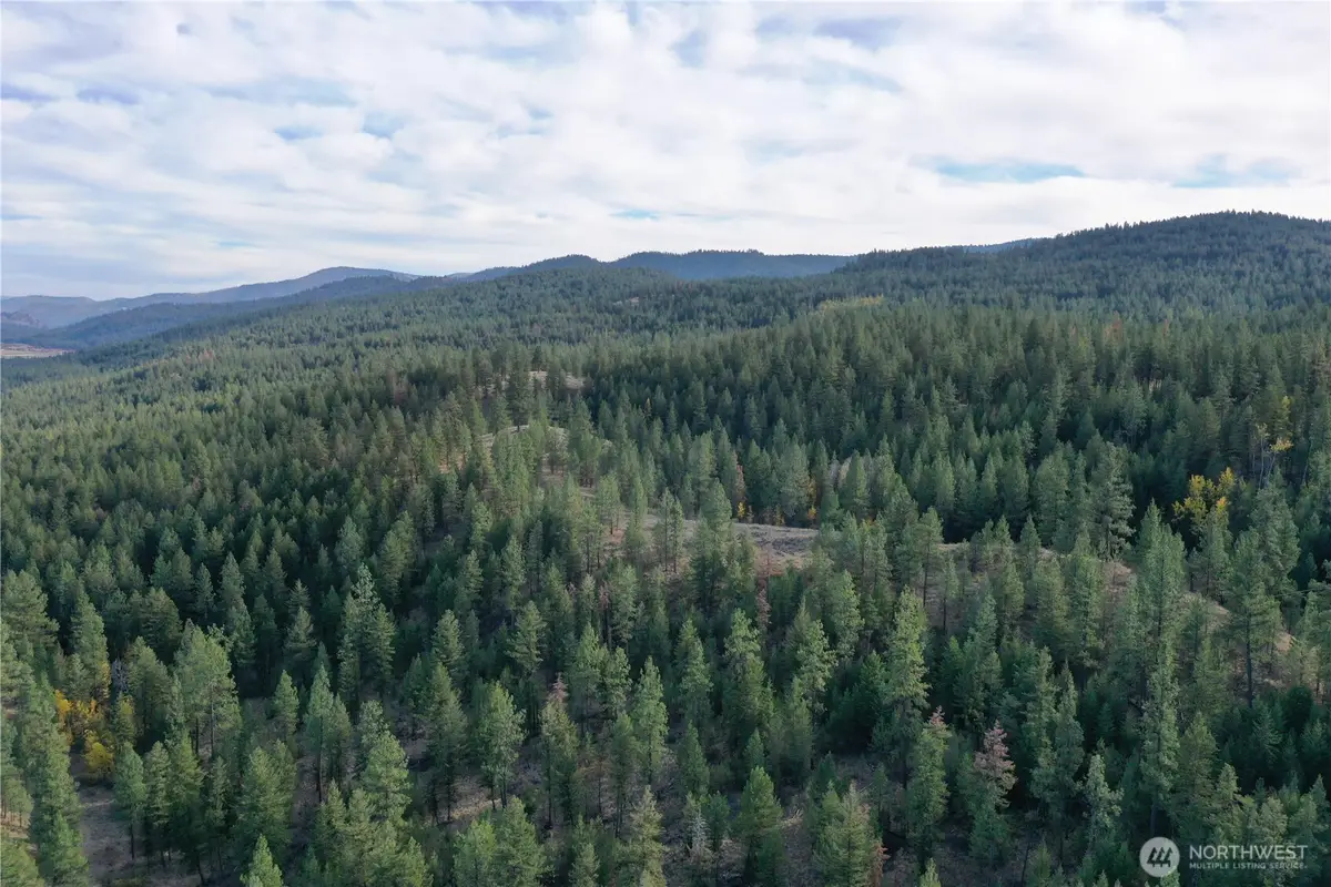 9 Marmot Alley Road, Tonasket, WA 98855 - #1