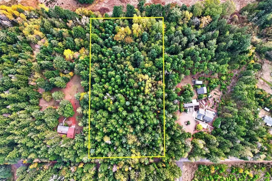 873 Lemmon Road, Port Angeles, WA 98362 - #2