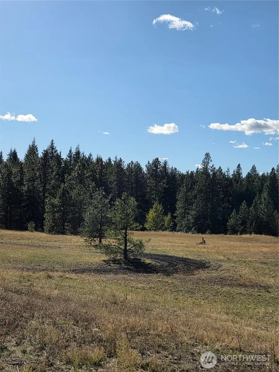 5 Rockrose Drive #5, Ronald, WA 98940 - #3