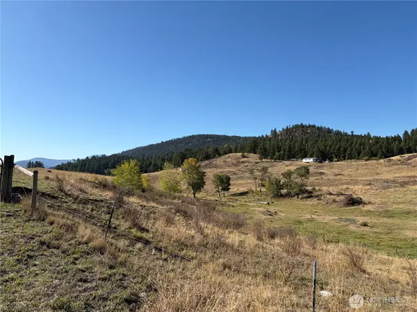 0 Mountain View Dr S #40, Oroville, WA 98844