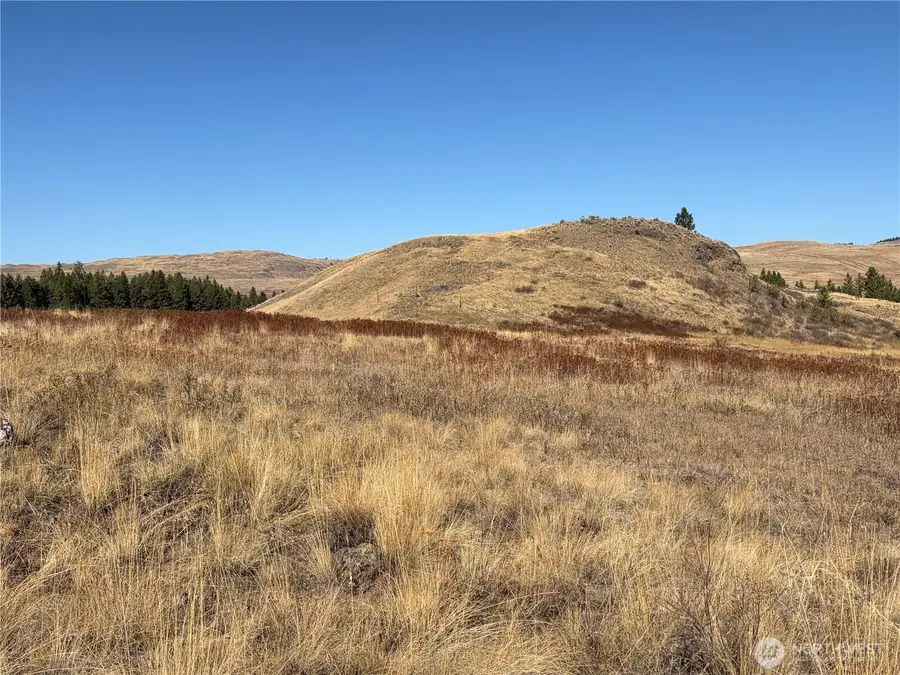 0 Mountain View Dr S #40, Oroville, WA 98844 - #3