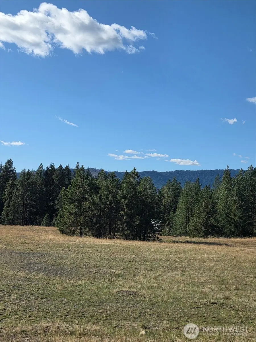 7 Rockrose Drive #7, Ronald, WA 98940 - #2