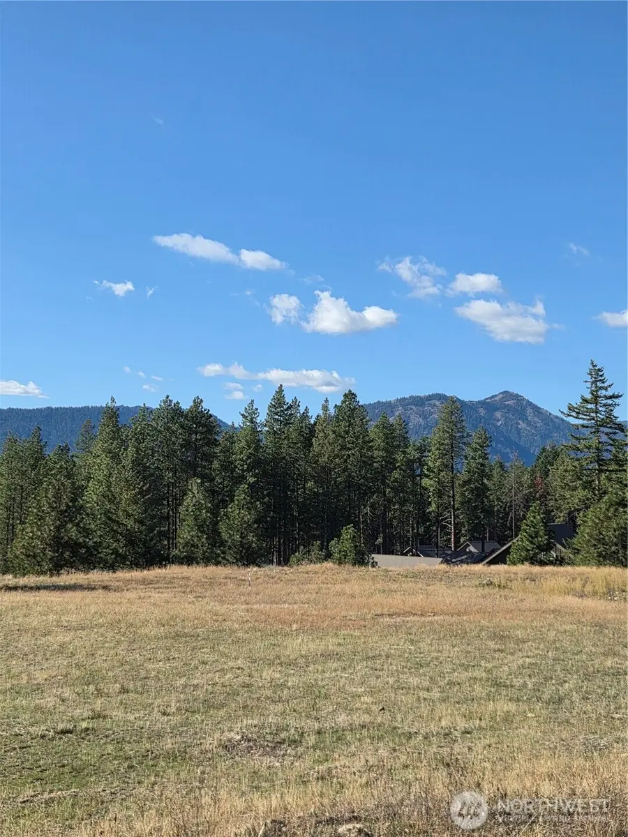 7 Rockrose Drive #7, Ronald, WA 98940 - #3