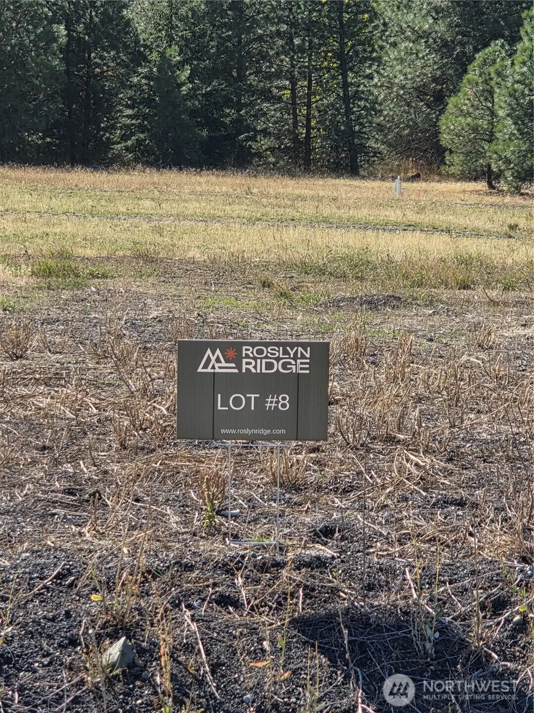 8 Rockrose Drive #08, Ronald, WA 98940 - #1