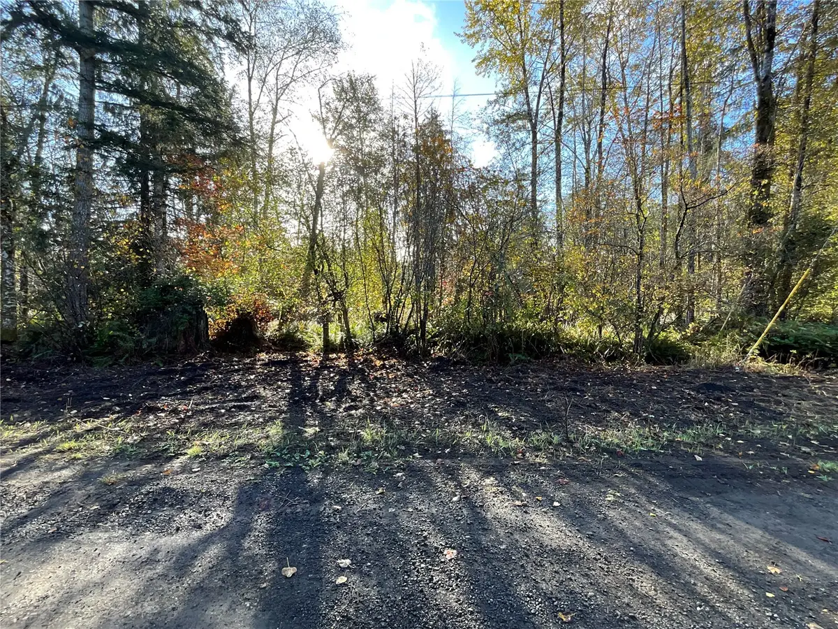 1 W Hamma Hamma Drive #Lot  50, Elma, WA 98541 - #1