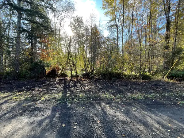 1 W Hamma Hamma Drive #Lot  50, Elma, WA 98541