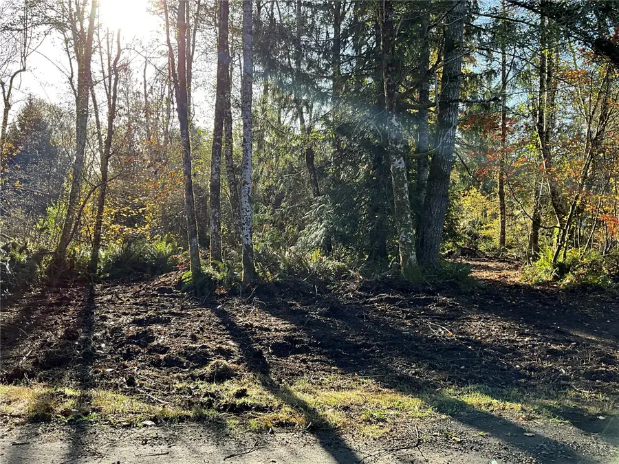 1 W Hamma Hamma Drive #Lot  50, Elma, WA 98541 - #2