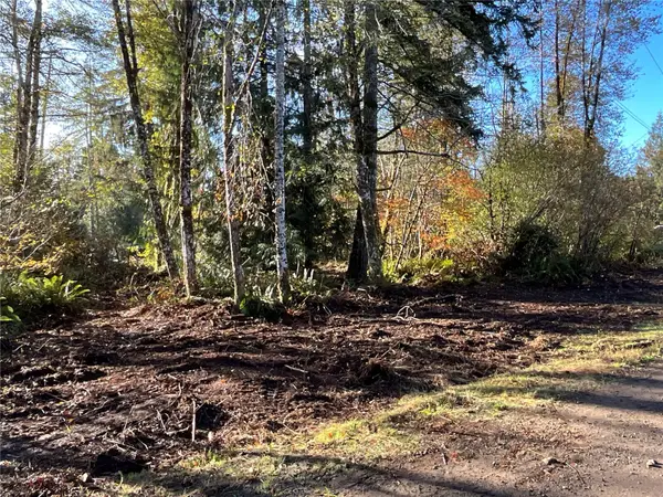 11 W Hamma Hamma Drive #Lot  51, Elma, WA 98541