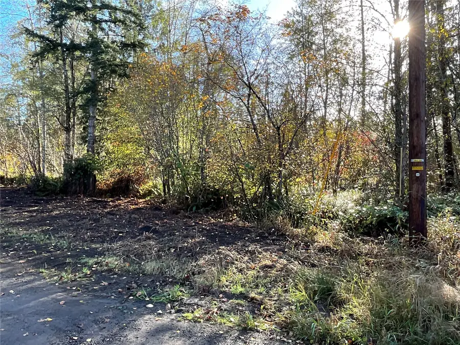 11 W Hamma Hamma Drive #Lot  51, Elma, WA 98541 - #2