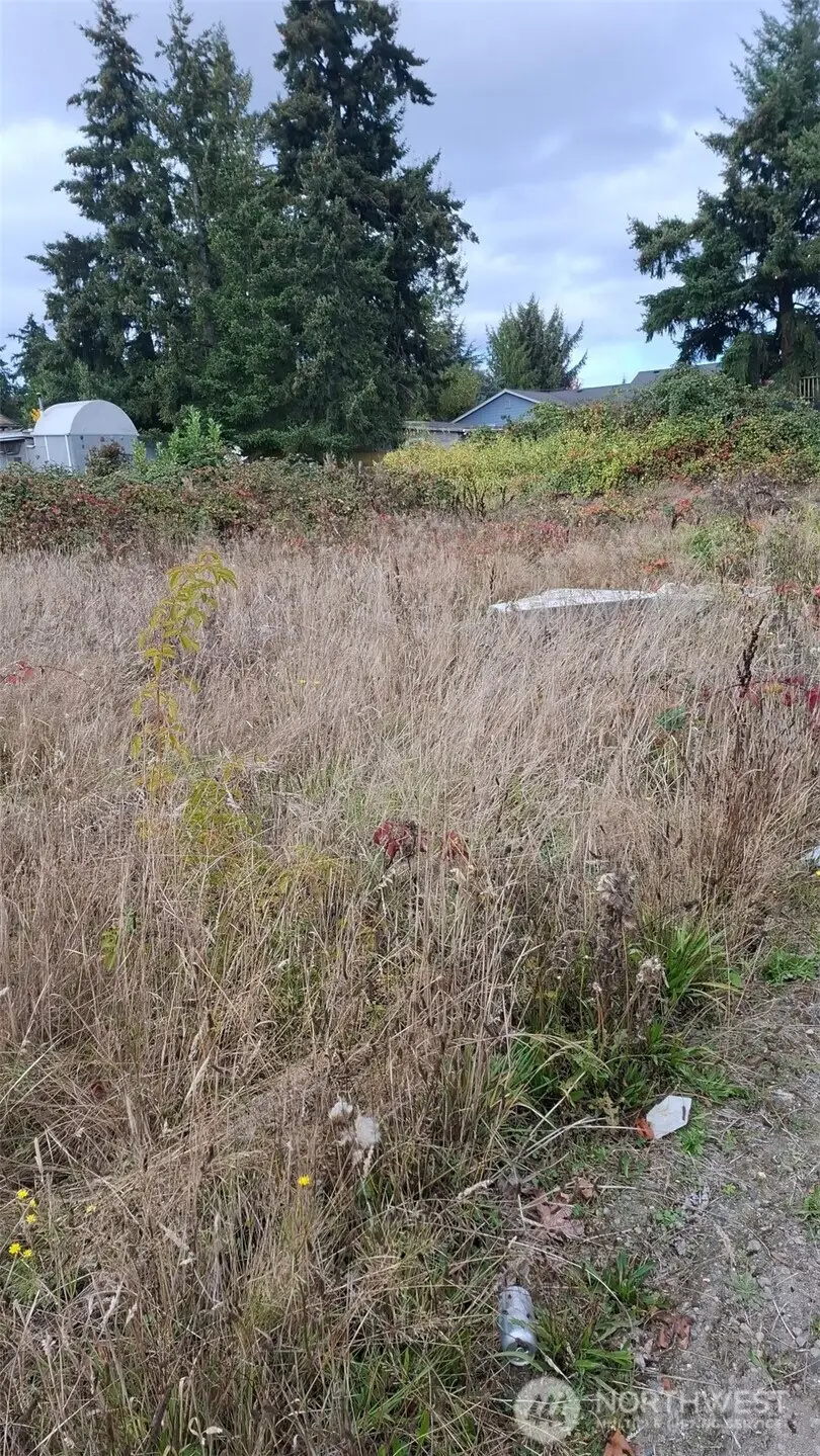 4101 King Street E, Tacoma, WA 98466 - #3
