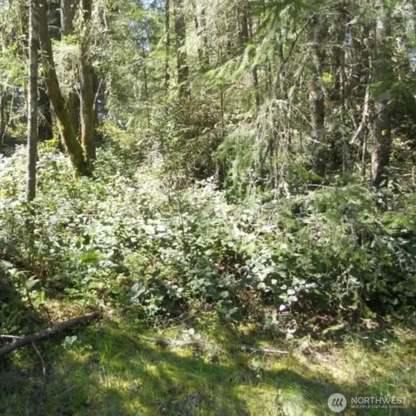 10510 Olympic Place, Anderson Island, WA 98303