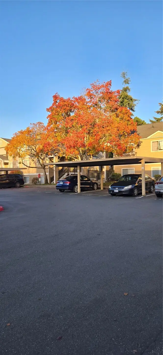 5300 Harbour Pointe Boulevard #306P, Mukilteo, WA 98275 - #3