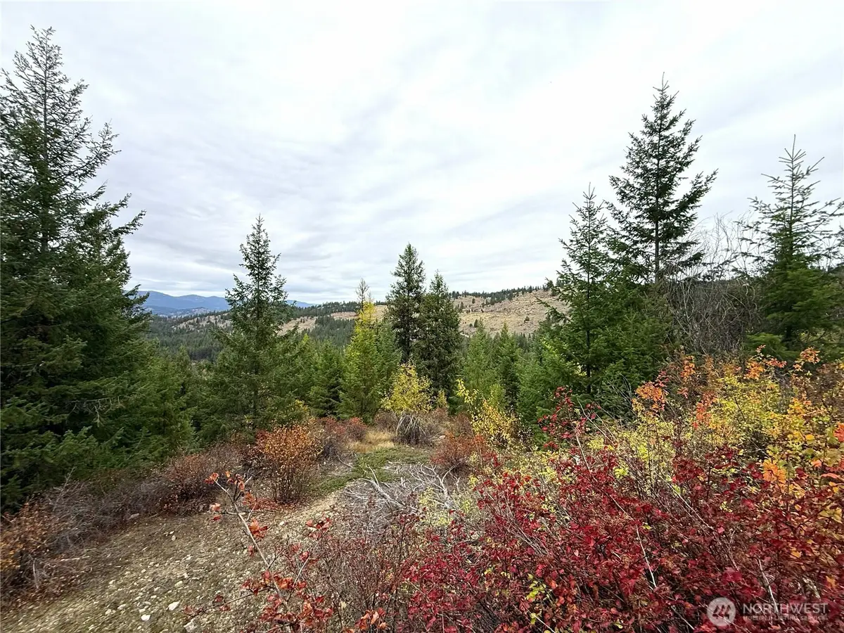 91 Edgewood Lane, Curlew, WA 99118 - #1