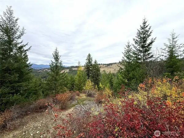 91 Edgewood Lane, Curlew, WA 99118