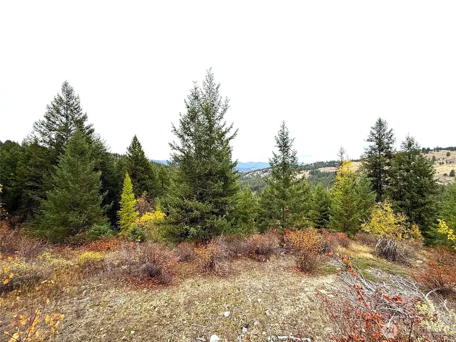 91 Edgewood Lane, Curlew, WA 99118 - #2