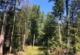 21700 70th Avenue E #14, Spanaway, WA 98387 - #1