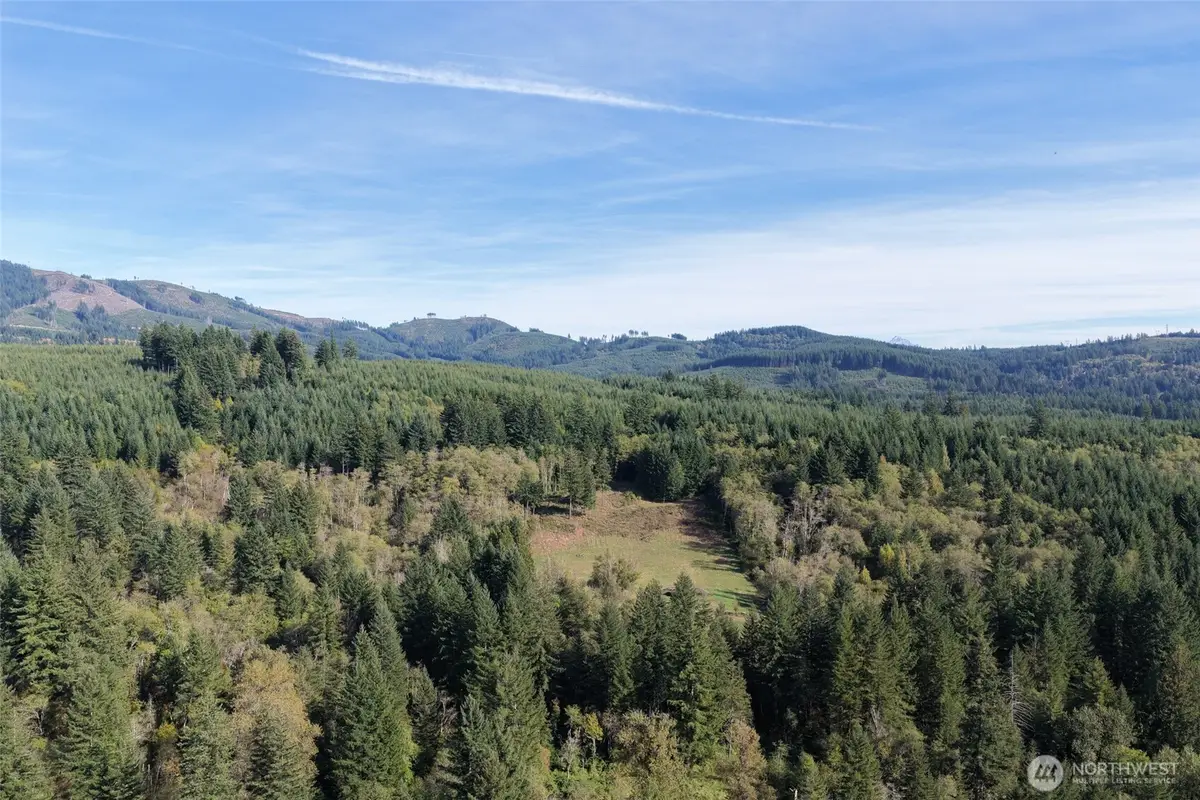33827 NE Lessard Road, Camas, WA 98607 - #1