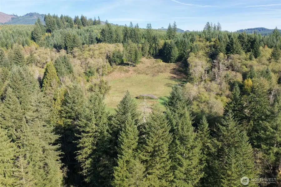 33827 NE Lessard Road, Camas, WA 98607 - #2
