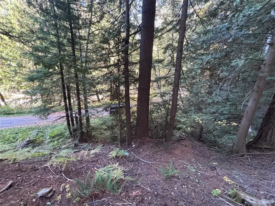 87422 NE Old Cascade Highway #30 & 30-A, Skykomish, WA 98288 - #2