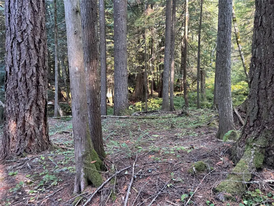 87422 NE Old Cascade Highway #30 & 30-A, Skykomish, WA 98288 - #3