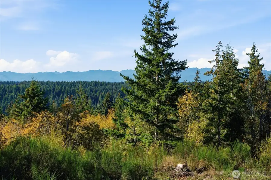 3 E Lone Fir Drive #3, Shelton, WA 98584 - #2