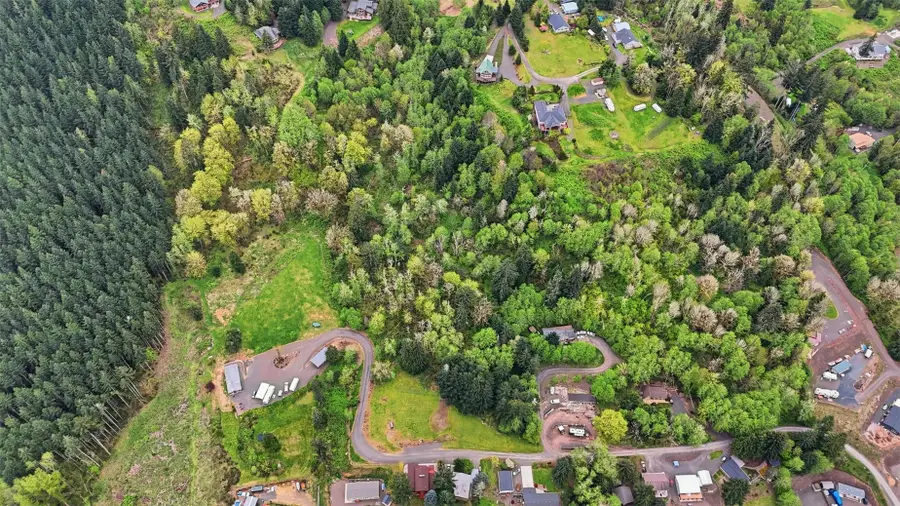 0 Lakeview Drive, Mossyrock, WA 98564 - #2