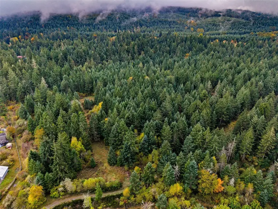7723 126th Lane Se, Tenino, WA 98589 - #2