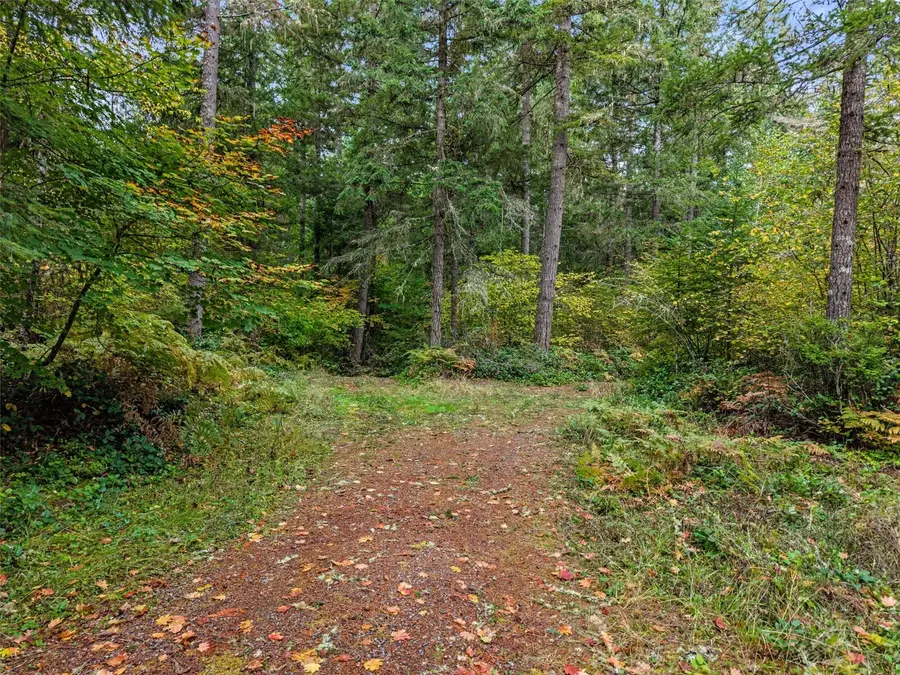 13041 Black Bear Lane Se, Tenino, WA 98589 - #3
